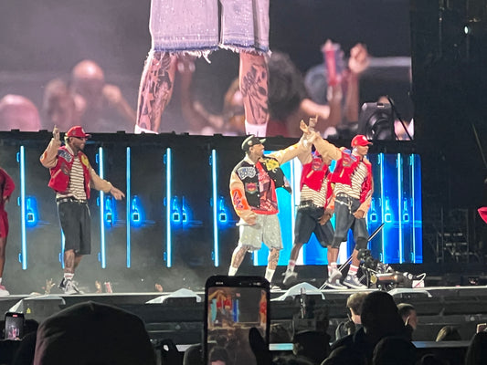 VIP Chris Brown Tour, Suite Package